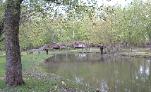 Spruce Creek Park foot bridge